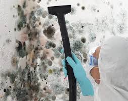 Best Attic Mold Removal  in River Oaks, TX